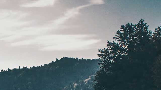 成都全兴大曲为何有名？